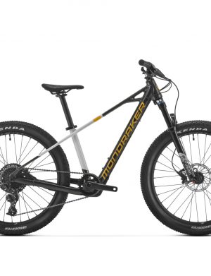 MONDRAKER Play 24 occasion